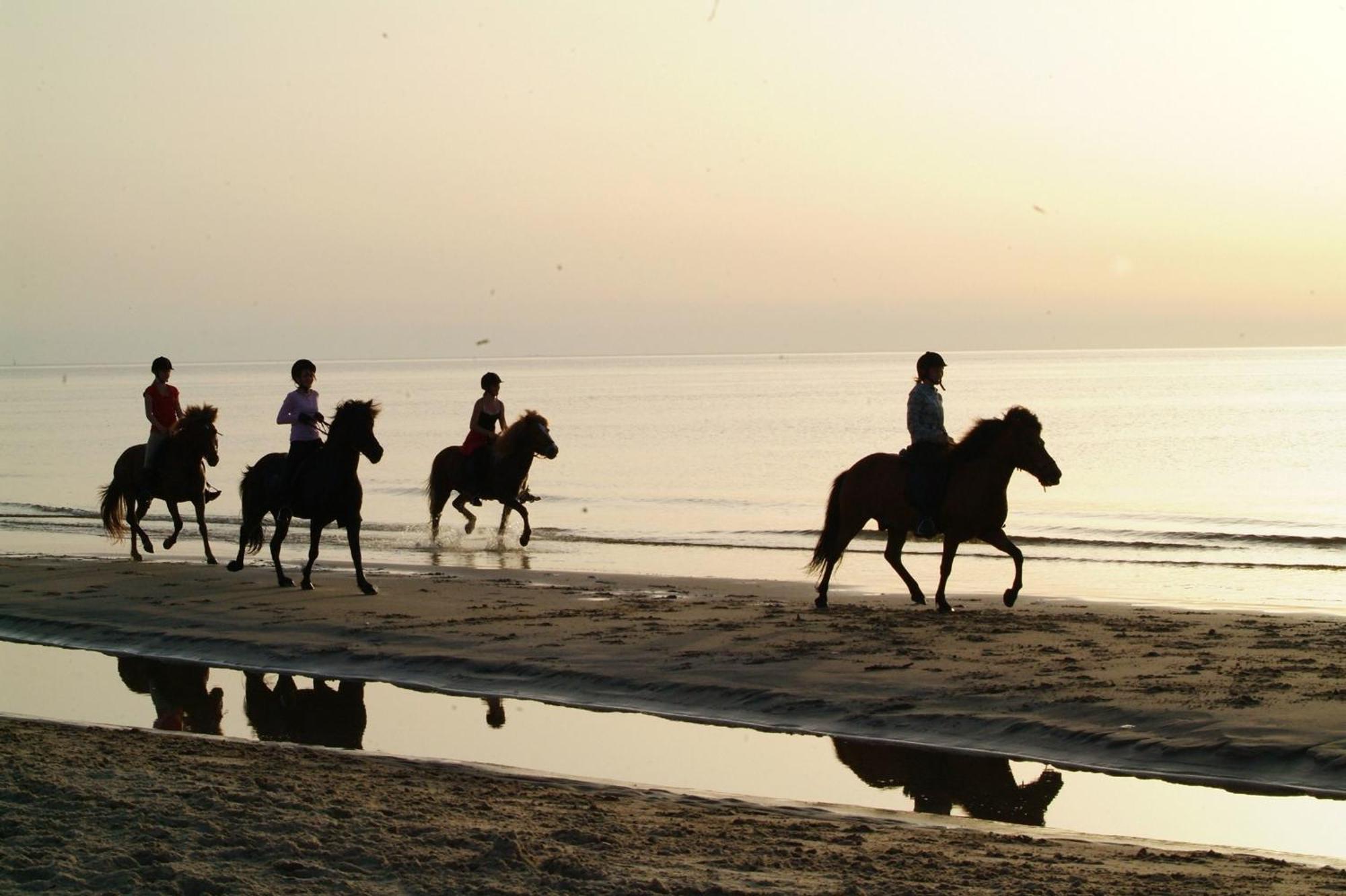 Nordkap Farm Holiday & Hostel Bindslev Εξωτερικό φωτογραφία