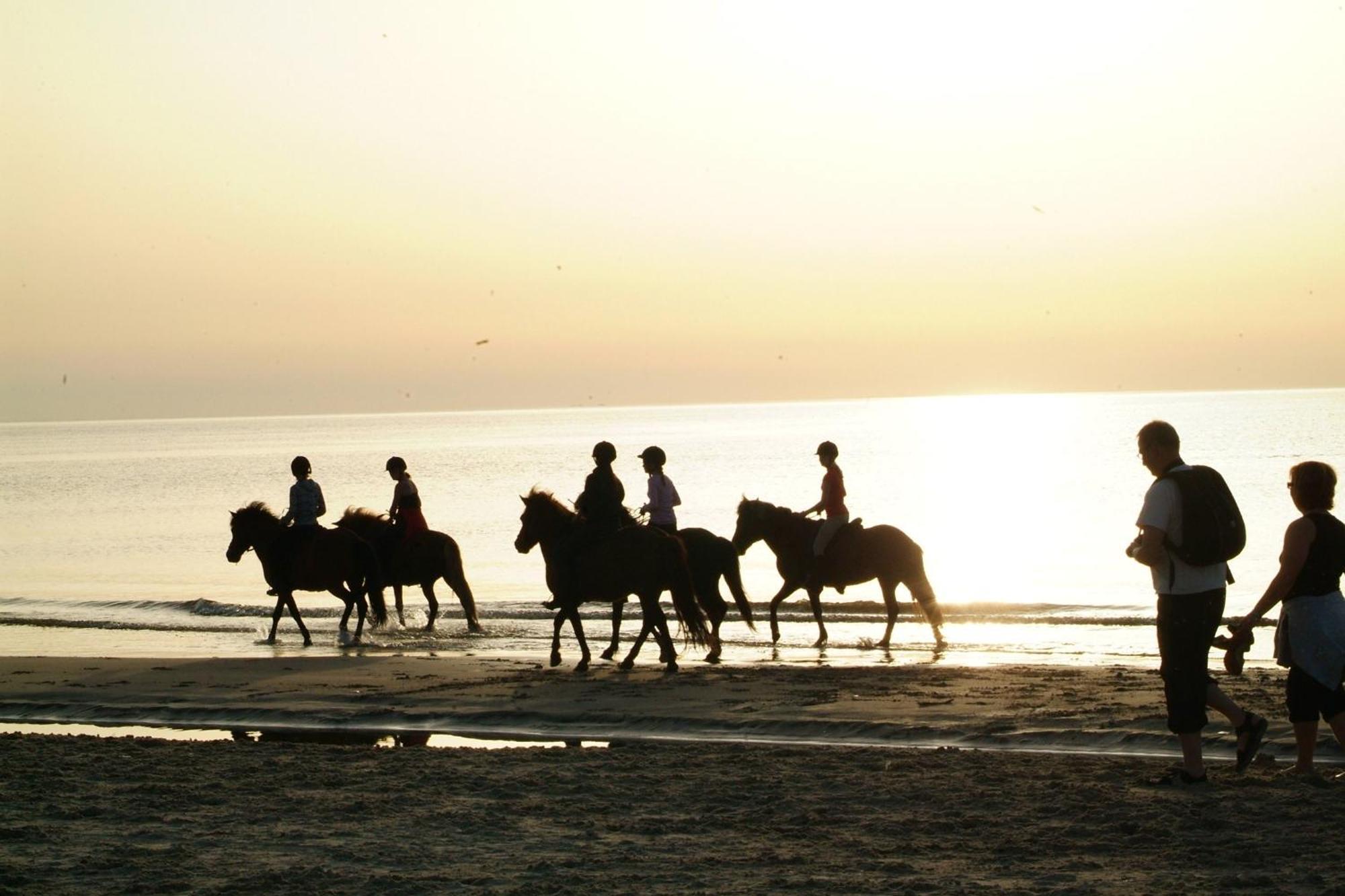 Nordkap Farm Holiday & Hostel Bindslev Εξωτερικό φωτογραφία