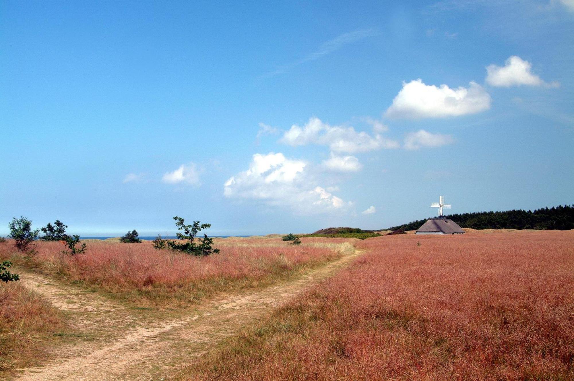 Nordkap Farm Holiday & Hostel Bindslev Εξωτερικό φωτογραφία